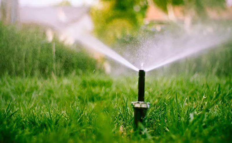 Water Conservation & Emergency Preparedness: Small Steps Make a Big Impact